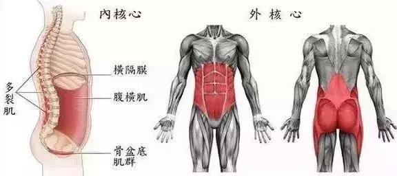 马拉松训练怎么补水_马拉松比赛补水_马拉松补水